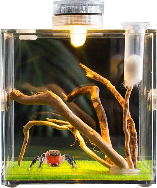 Springspin Terrarium: 360° Transparent Jumping Spider Habitat, 5.5cm Cube