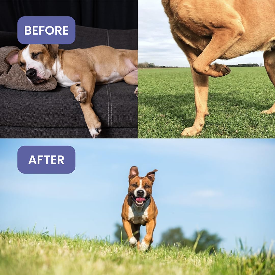 Absolut Pet Hip and Joint-Supplements for Dogs Chews that Improve Mobility & Bone Strength with Glucosamine, Chondroitin & Collagen (30 Chews) 3