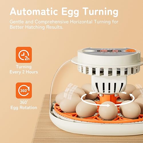 Miniatura 4 de Apdoe Incubadora de 12 huevos, incubadoras para incubar huevos, girador automático de huevos con control de temperatura, vela de huevos, reposición