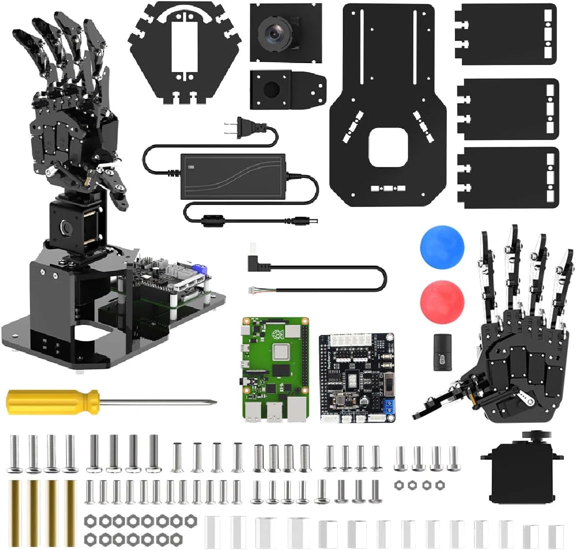 Robot Hand for Raspberry Pi Open Source AI Bionic Robotic Hand Five Fingers Solely Movement Mechanical Arm DIY Smart Robot & Engineering Kits, Science/Coding/Programming Set, Left Hand & RPi 5 4GB