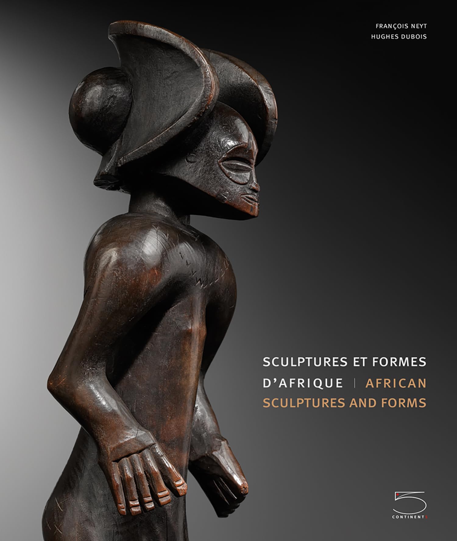 Sculptures et formes d'Afrique-African sculptures and forms