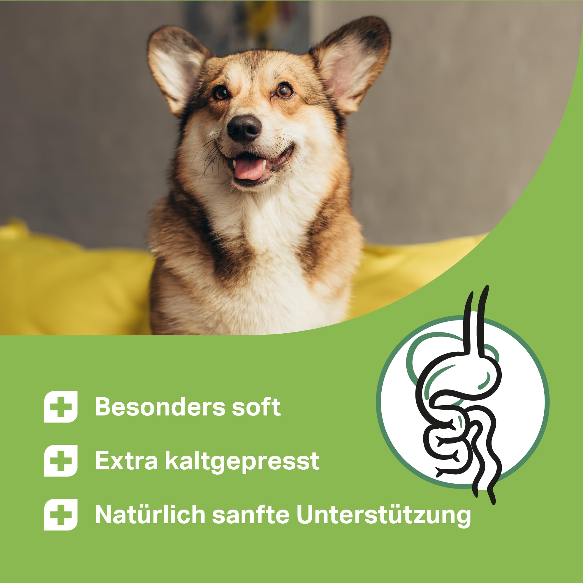 MEDIDOG Darm Aktiv Drops – 400 g – kaltgepresste Drops für alle Hunde – unterstützt eine ausgeglichene Darmfunktion und Normale Kotbeschaffenheit – mit Inulin, MOS & Flohsamenschalen