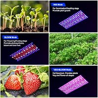 DragonLight BW2000 LED Növénylámpa Teljes Spektrumú UV-IR Fénnyel, Veg/Bloom Kapcsolóval, 3m Kábellel Szobanövényekhez, Zöldségekhez és Virá 3