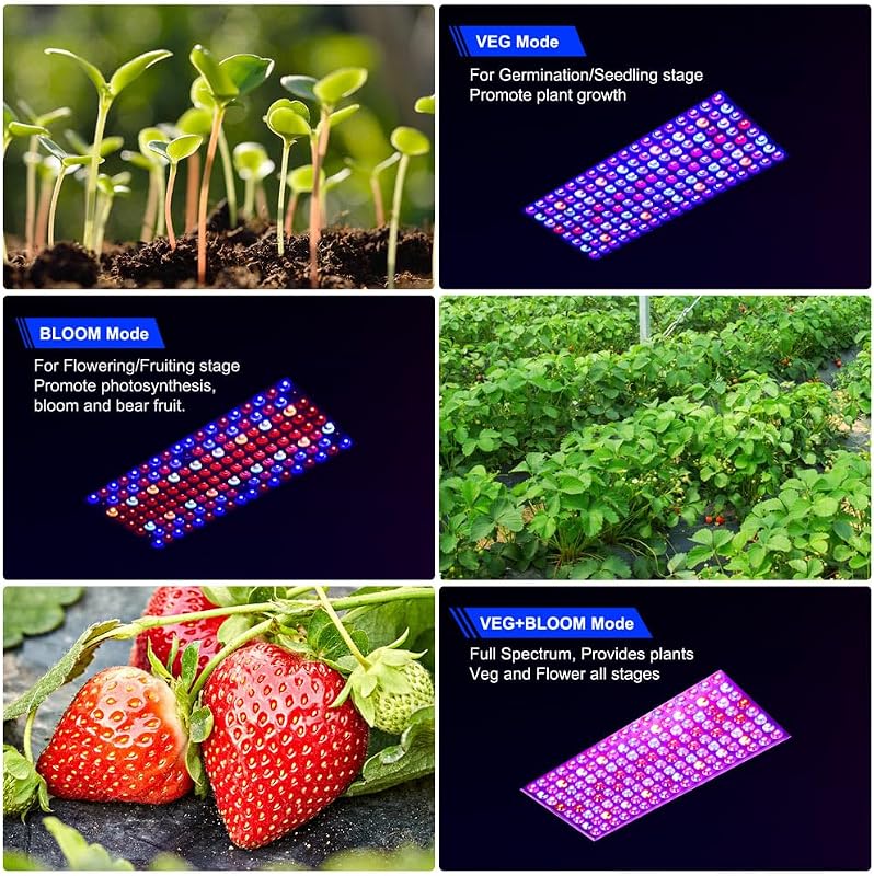 DragonLight BW2000 LED Növénylámpa Teljes Spektrumú UV-IR Fénnyel, Veg/Bloom Kapcsolóval, 3m Kábellel Szobanövényekhez, Zöldségekhez és Virá