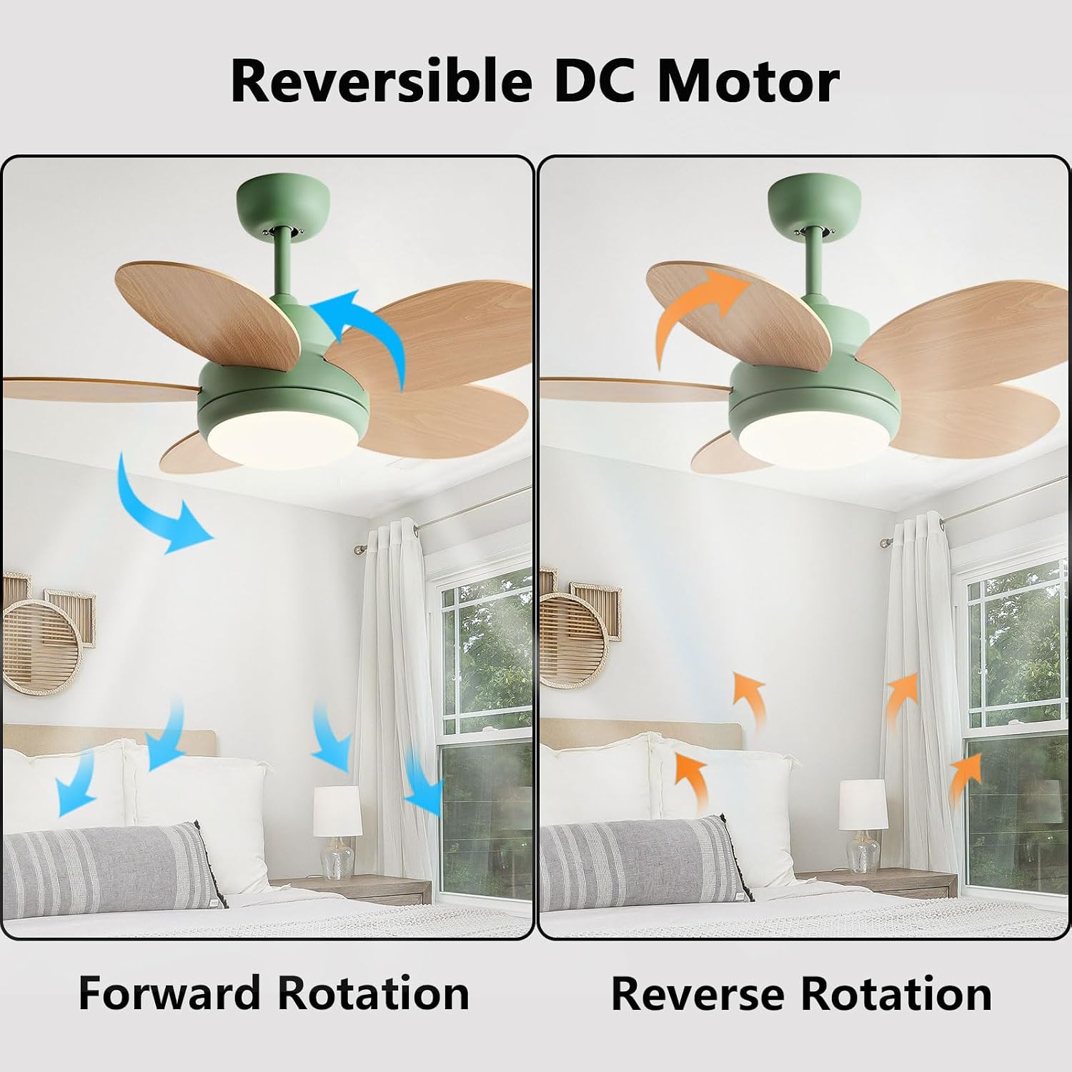 Modern 36in Ceiling Fan with Light Wall Switch and Remote 6 Speeds Ceiling Fans Indoor Quiet Ceiling Fan with DC Motor, Plywood Blades for Bedroom Living Room Restaurant Hotel