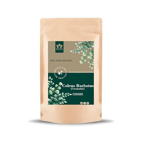 Blessfull Healing Coleus Barbatus(Forskohlii) Powder 100% Pure Natural 200 Gram
