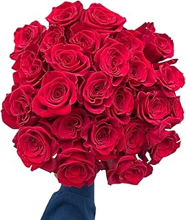 24 Stems Ecuador Freedom Red Roses Fresh Cut Flowers Arrangement, Mother's Day Birthday gift Lover's Anniversary Wedding Table Flowers Los Angeles Flower Wholesale Market