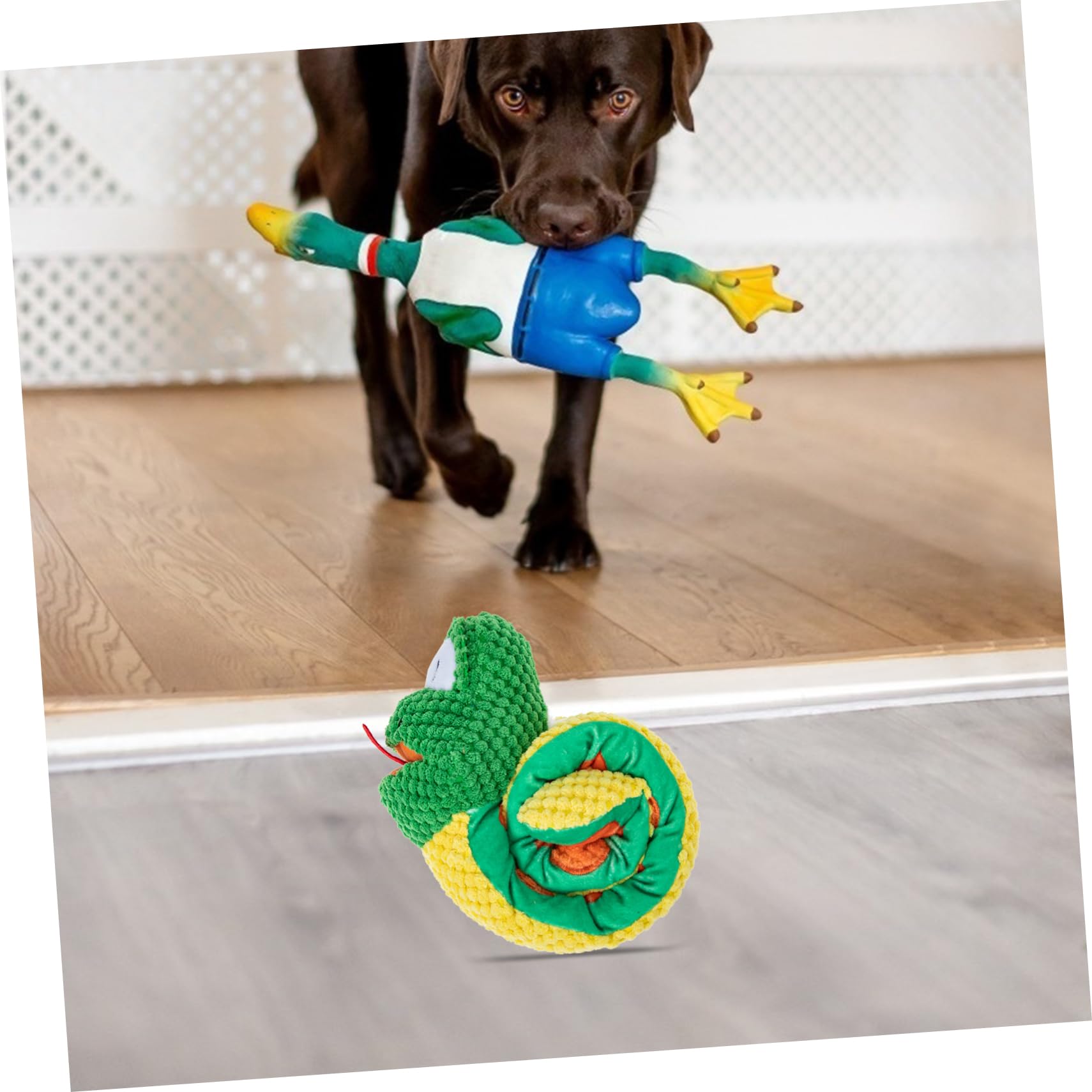 Housoutil 3pièces Jouet à Renifler pour Chien Forme De Serpent Jouet Interactif pour Chiots Prévention De Obésité Et Enrichissement Lavable pour Animaux De Compagnie