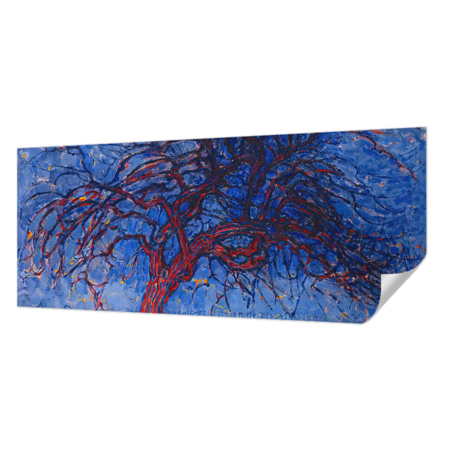 Papier Peint Auto-Adhésif 250x104 cm Arbre Flamboyant Tulup