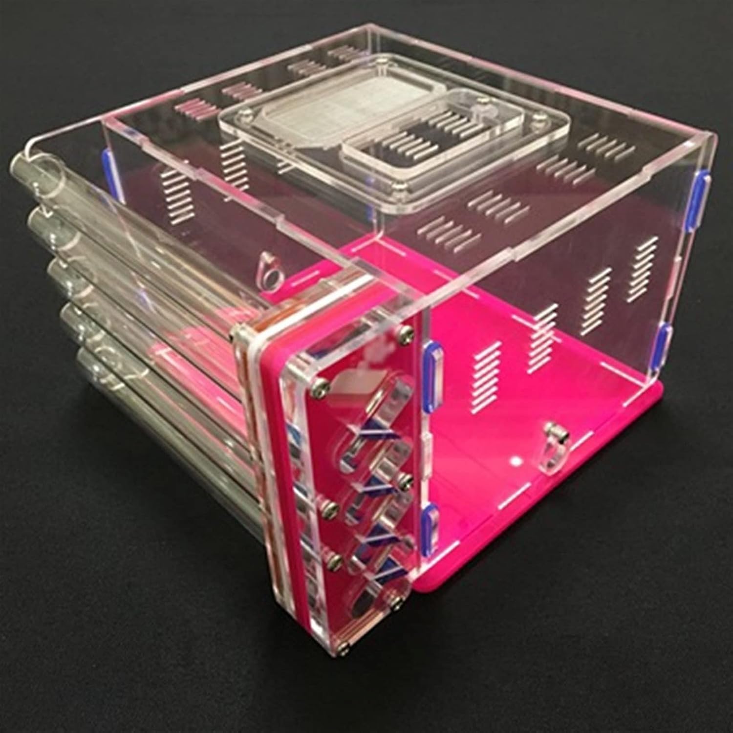 ムシキング 2005 セカンド マンディブラリスフタマタクワガタ アダー