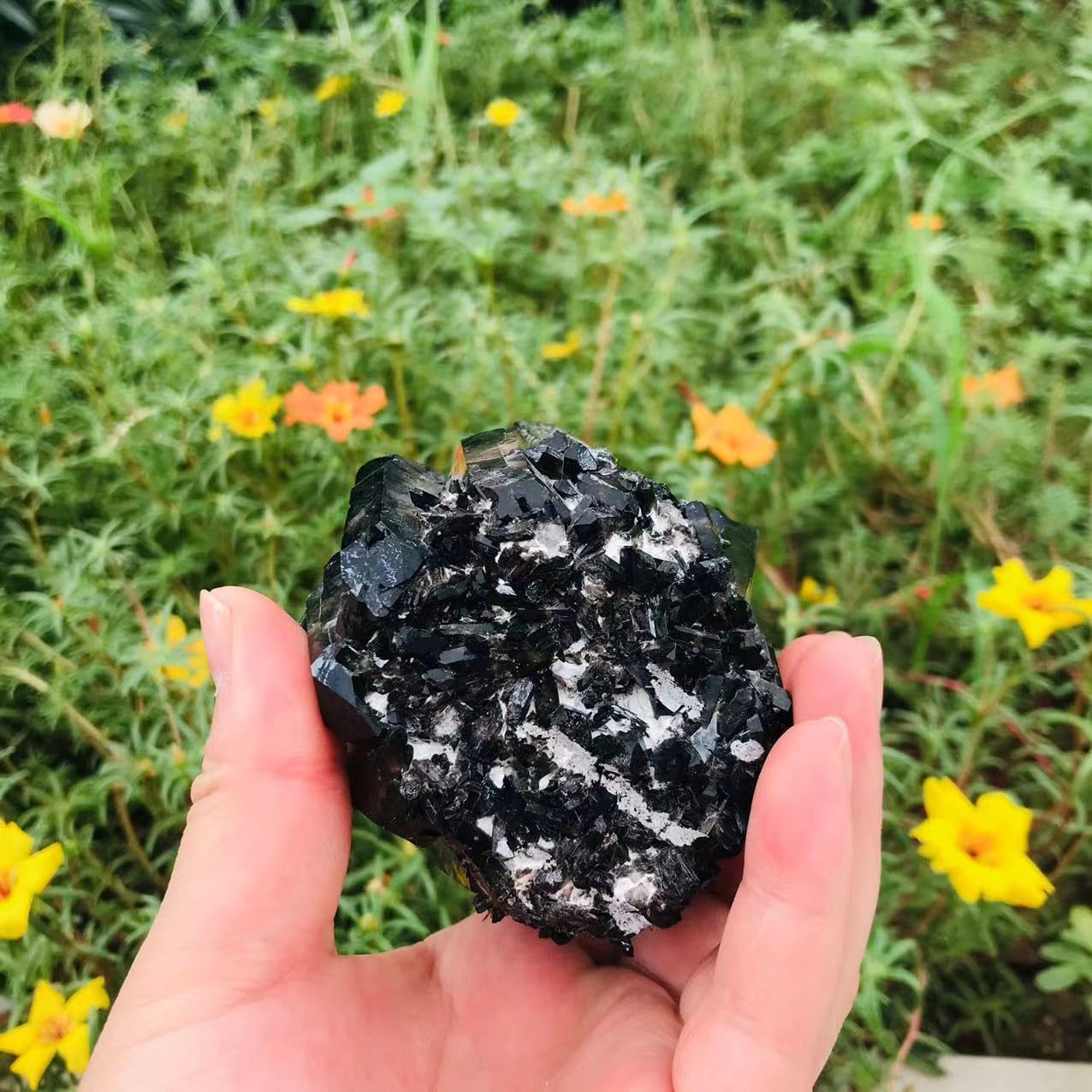 Natural Black Smoky Quartz Cluster Raw Unique Crystal Cluster Healing Stone for Decoration 1pc (560g-750g)