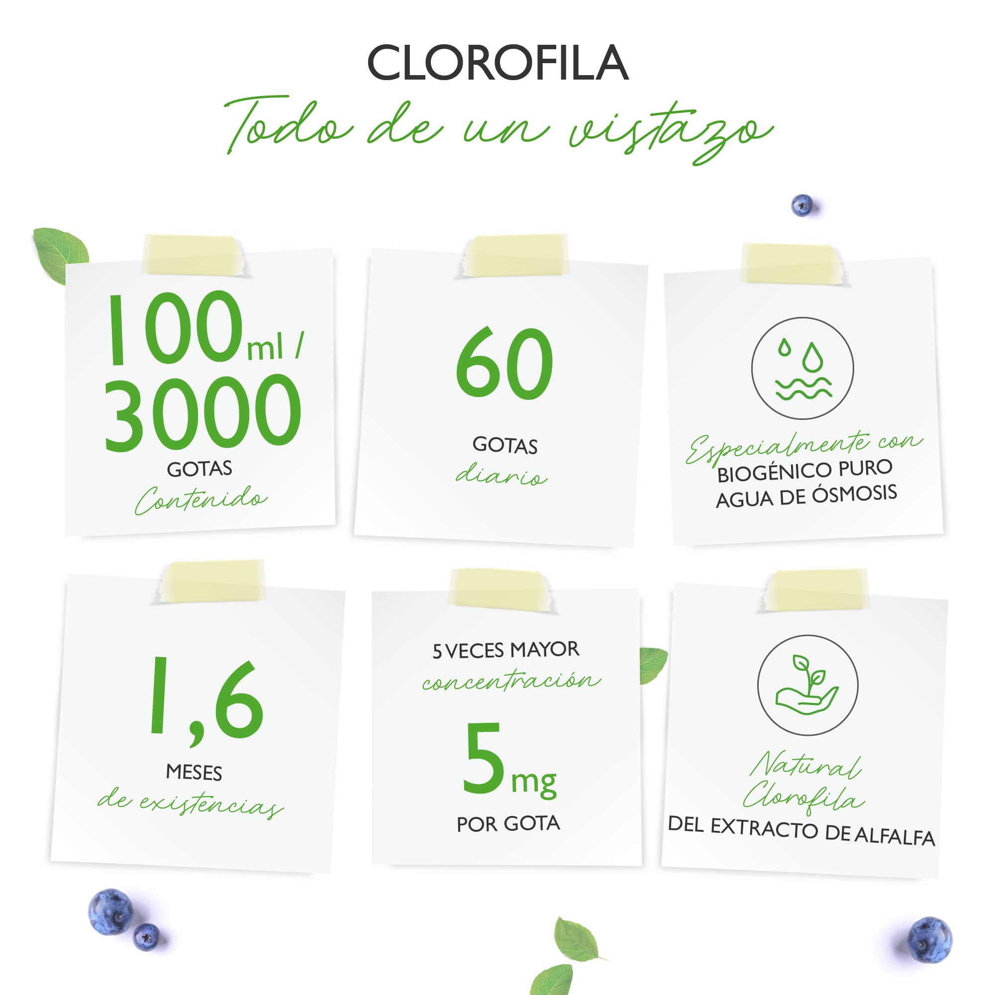 Gotas de clorofila 100 ml - Premium: Dosis hasta 4 veces superior - Clorofila líquida de extracto de alfalfa - Con agua de ósmosis purificada - Vegano