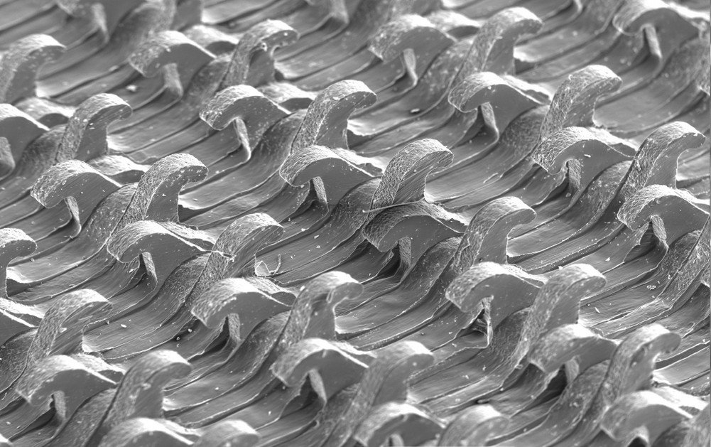 3M Clean Sanding Soft Disc Pad 20425, Hook and Loop Attachment, 6' Diameter x 1/2' Thick, 3/4' Center Hole Diameter, 5/16'-24 External Thread, 25 Holes, Yellow (Pack of 1)