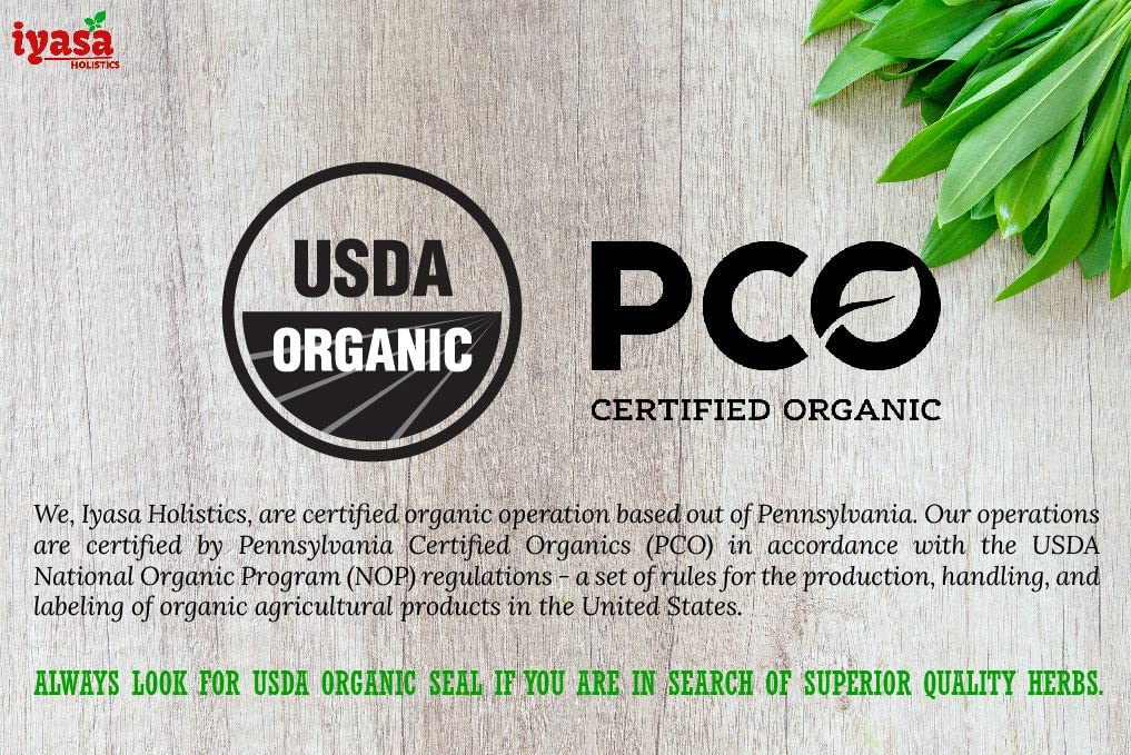 Organic Bacopa Powder (Brahmi Leaf), Trial Pack of 4 Oz/113 Gm, USDA Certified, Natural Hair Care, Ayurveda Superfood ,Resealable Pouch : Grocery & Gourmet Food