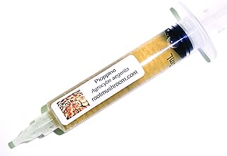 Root Mushroom Farm- Mushroom Liquid Cultures/Black Poplar or Pioppino(agrocybe aegerita)