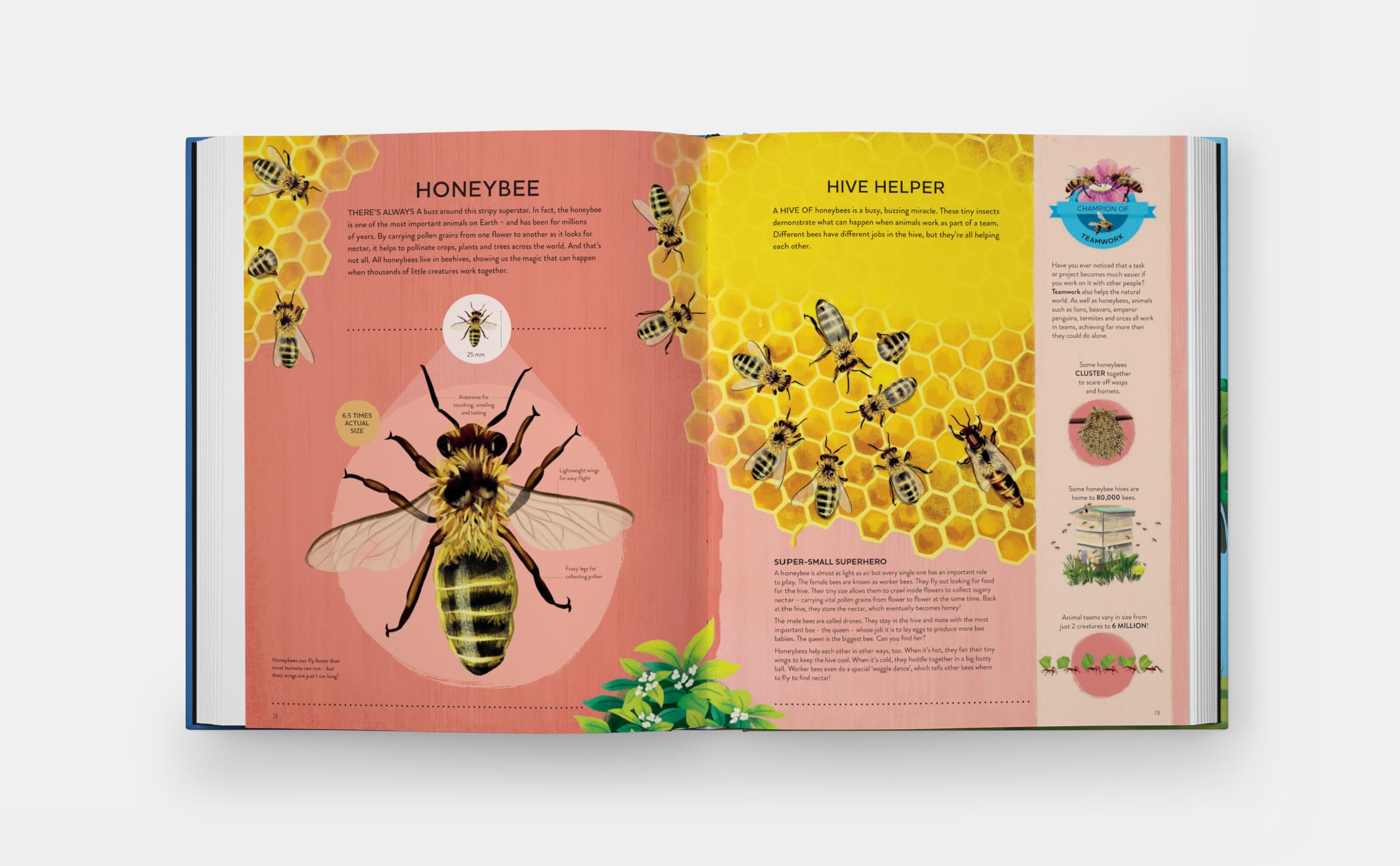 Nature's tiny champions: The Big Book of Little Creatures Doing Mighty Things