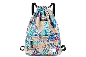 Patagonia Great Backpack Backpack Great for Beaches
