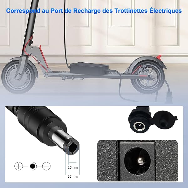 VOLOHAS 42V 2A Lithium Chargeur de Batterie de Trottinette pour Kugoo S1 S2 S3, Kugoo m2 Pro 36V pour Etwow, GOTRAX GXL V2, G2, G3, G4, Apex, Glider, XR Elite, XR Ultra Charge Rapide - 4