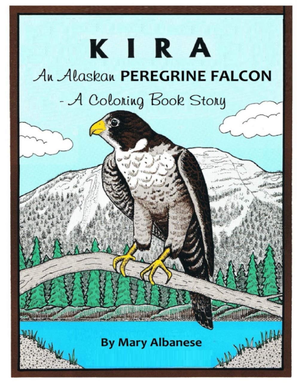 KIRA, AN ALASKAN PEREGRINE FALCON: A COLORING BOOK