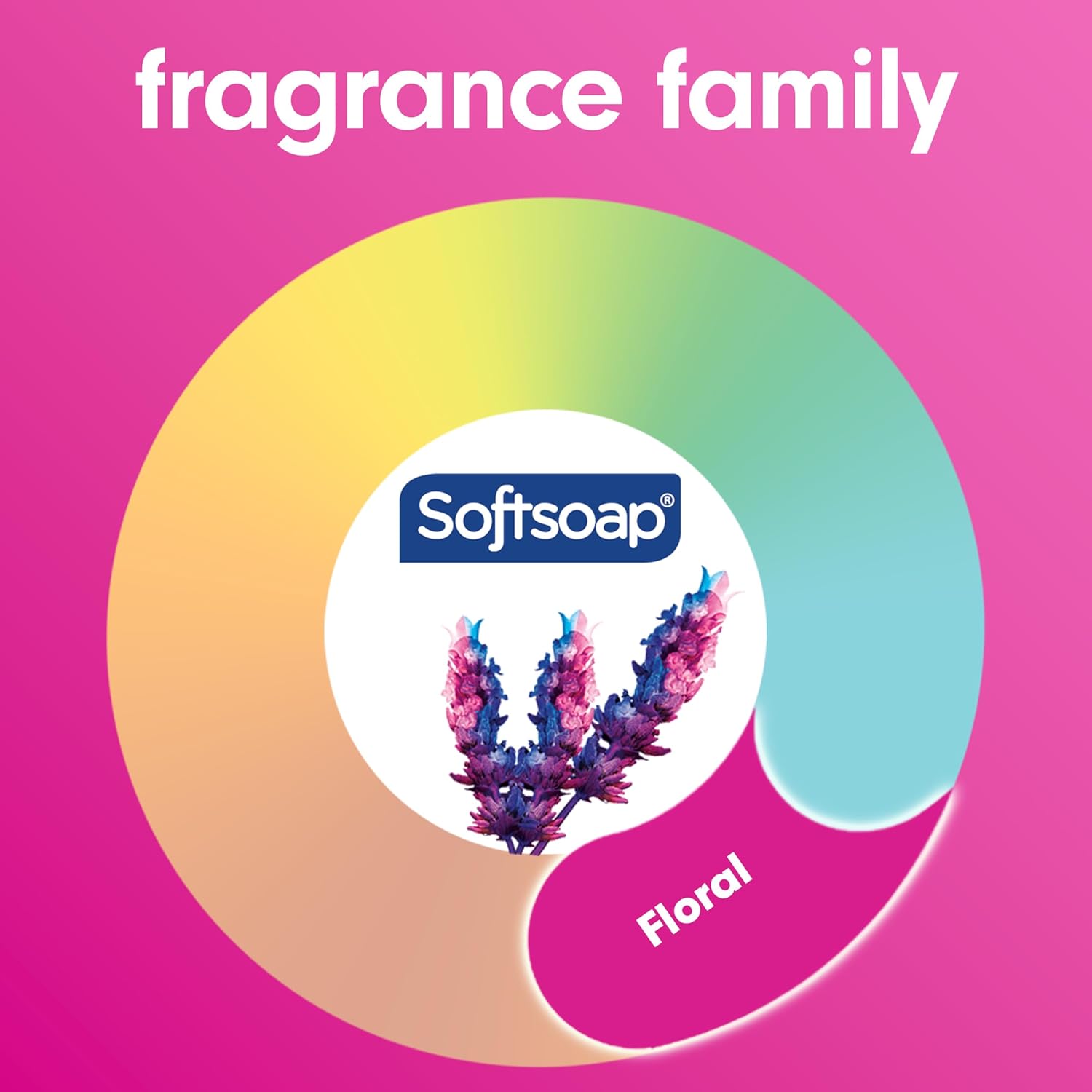 Softsoap Body Wash,Honeysuckle & Orange Burst Body Wash,20 Ounce,(Pack of 8)