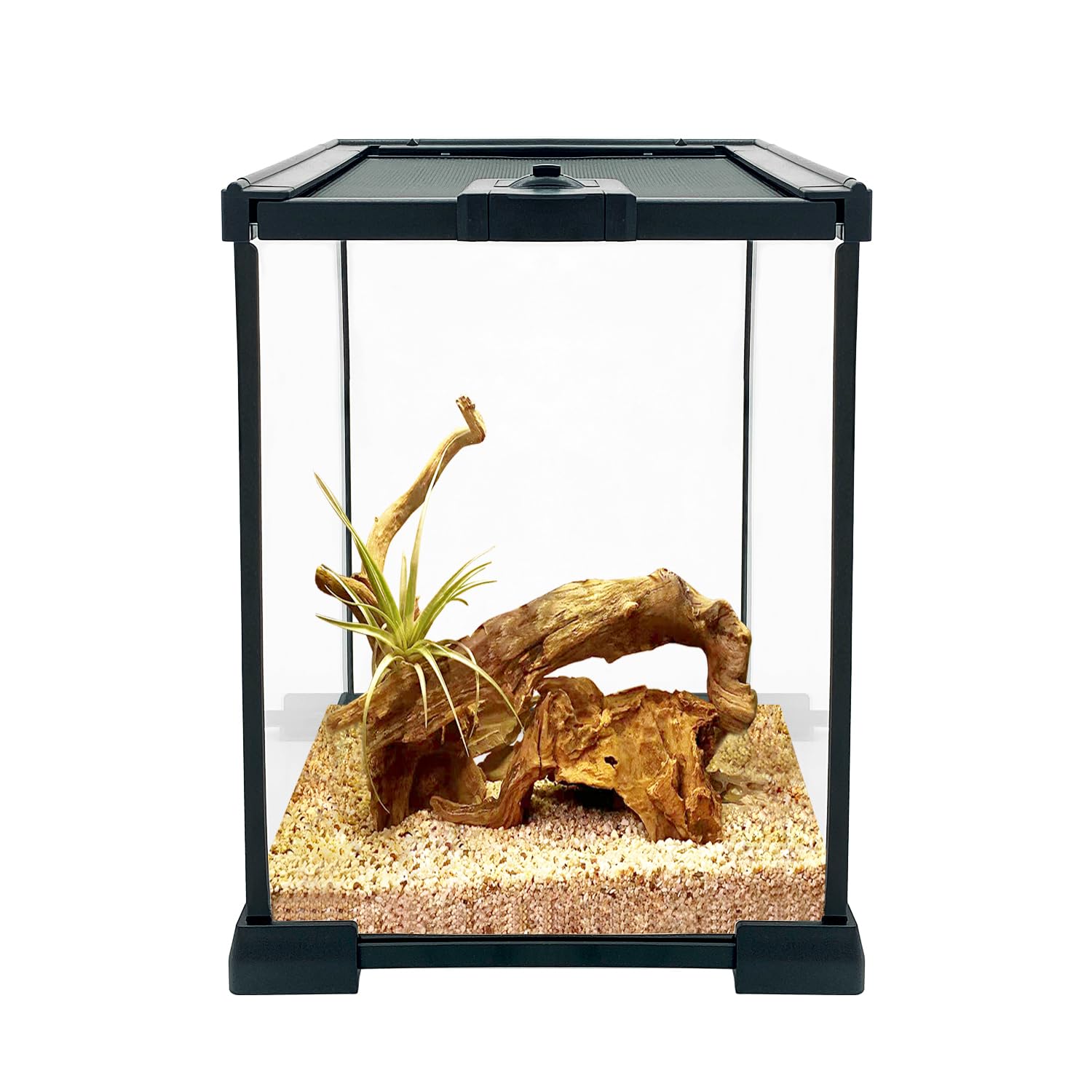 Reptile Growth Reptile Glass Terrarium, 8" x 8"x 12" Reptile Tank with Top Sliding Door Screen Ventilation,for Tarantula,Hermit Crab,Jumping Spider,Iguana,Tortoise,Leopard Gecko,Frog
