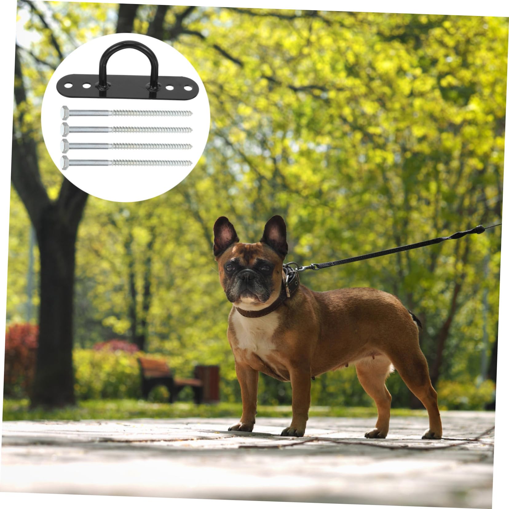 SUPVOX Picchetto Fissaggio Cane all’Aperto in Acciaio al Carbonio Nero | Cani Grandi, Uso in Giardino, Resistente alla Pioggia, Adatto anche Tenda e Barbecue