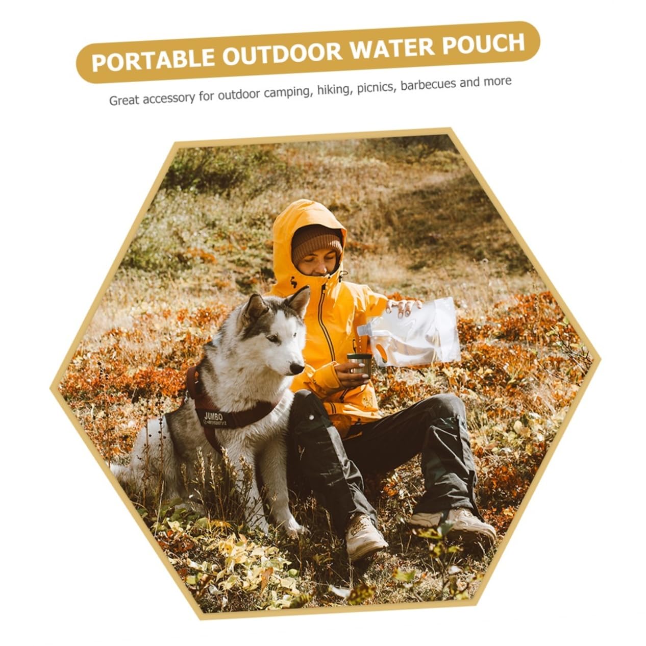 Abaodam 4Pcs Portable Collapsible Water Containers Transparent Water Bags for Camping Hiking Outdoor Activities Durable Food Grade for Daily Use Adventures