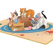 papercrush  Pop-Up Card Cute Cats   Handmade 3D Birthday Card with Cat for Women Wife, Girlfriend & Girls - Special Congratulations for Auntie, Best Female Friend & Mom - Birthday Card from Cat