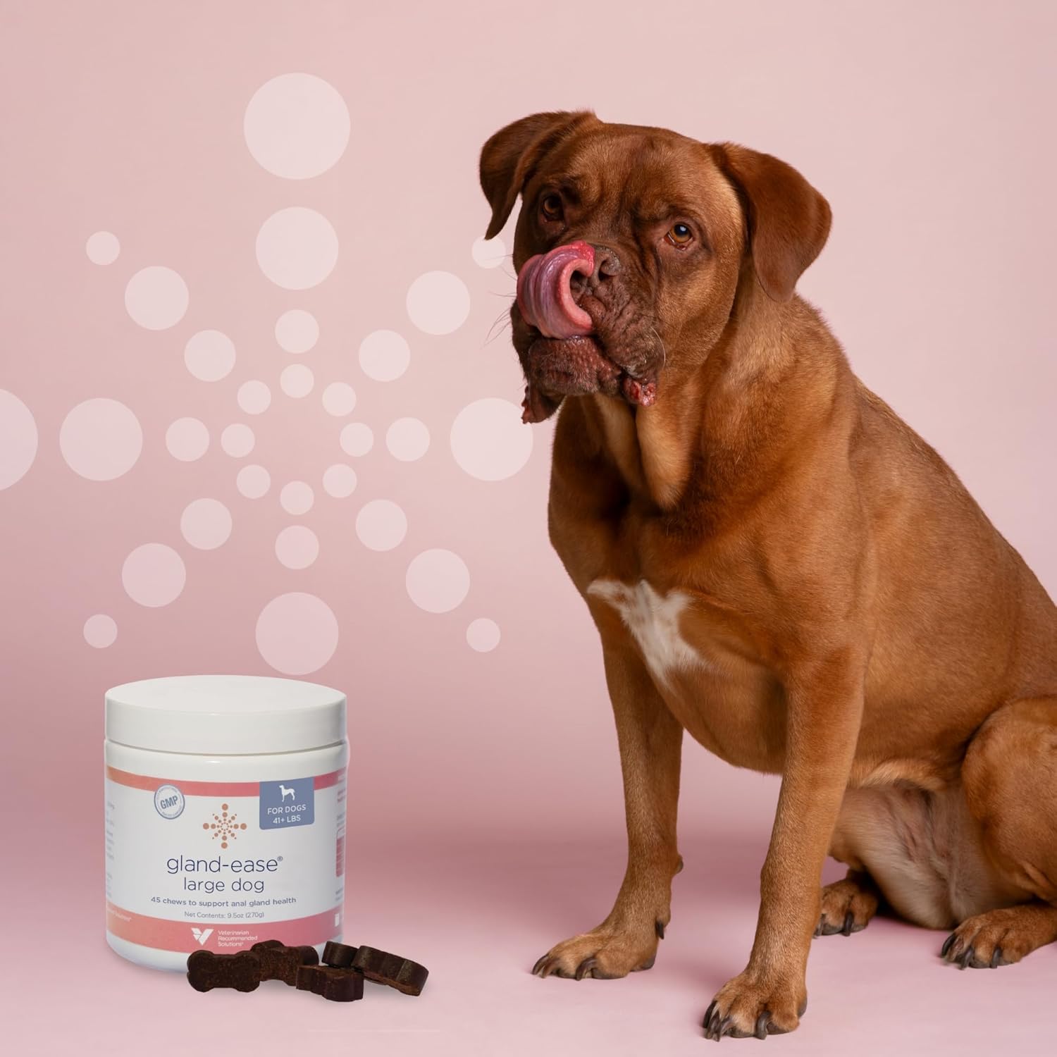 Gland-Ease Dog Canine Chews (for Large Dogs)