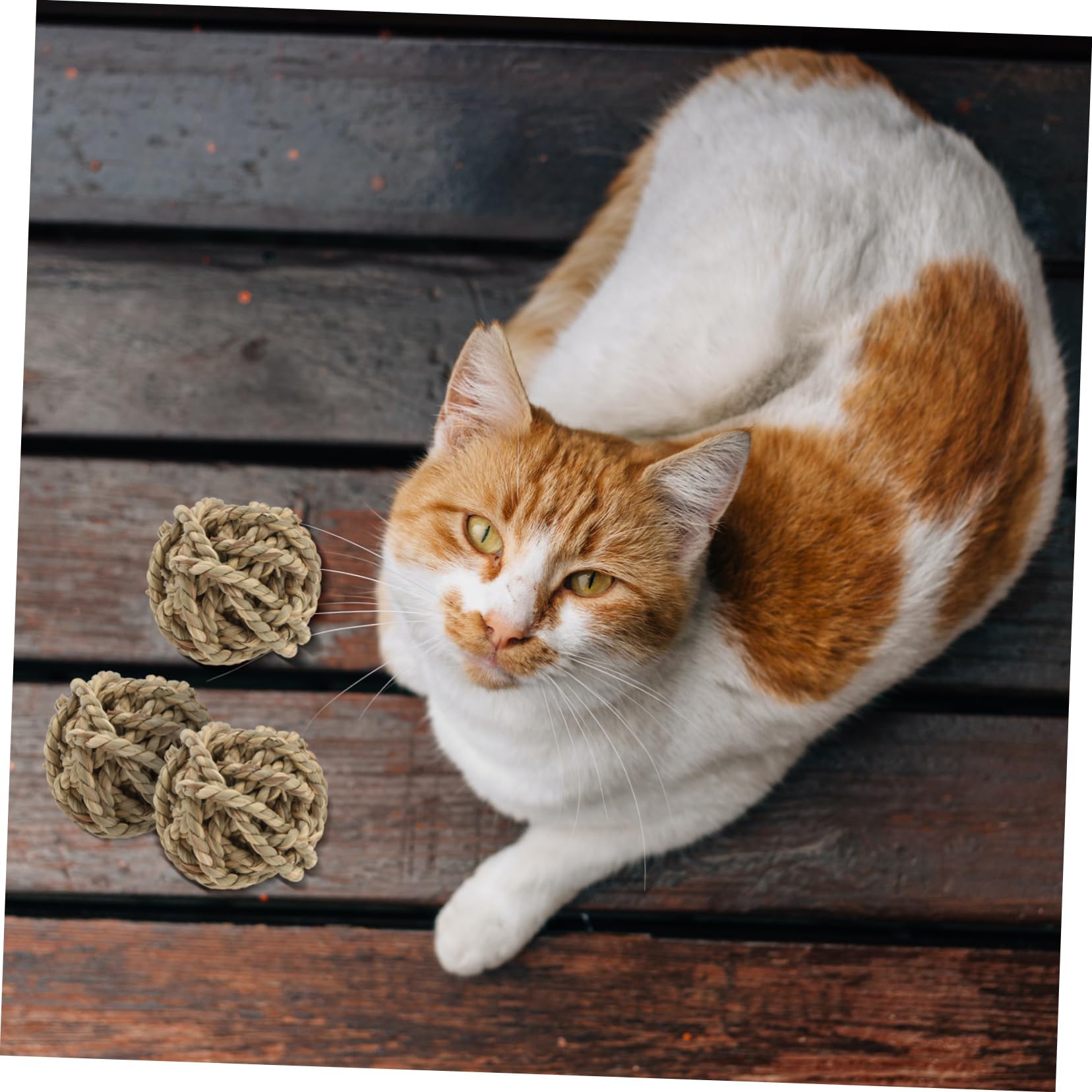 Housoutil 6pezzi Giocattoli Masticabili Rattan Naturale Per Piccoli Animali Palline Da Gioco Per Conigli e Porcellini Sicure Glutine Divertenti e Stimolanti Per Attività Di Rosicchiamento e