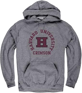 Campus Colors Adult Team Spirit Hooded Sweatshirt