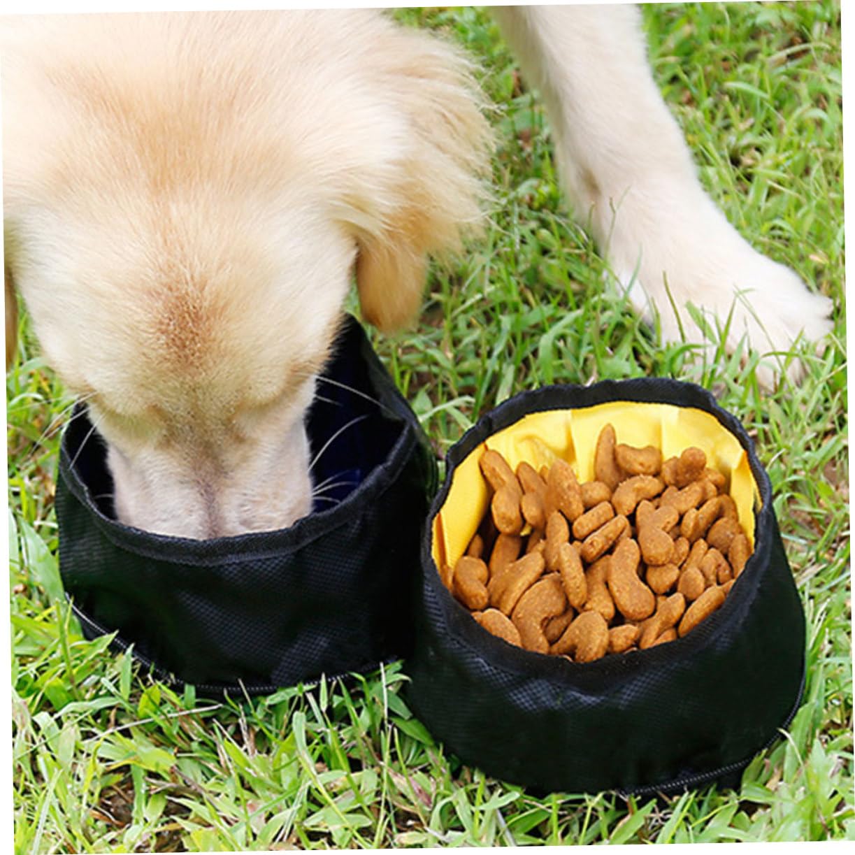 minkissy Lot de 2 gamelles Pliantes pour Animaux de Compagnie - Gamelles Pliables pour Chien - Doubles Portables - Pliantes pour Nourriture - Vaisselle de Voyage