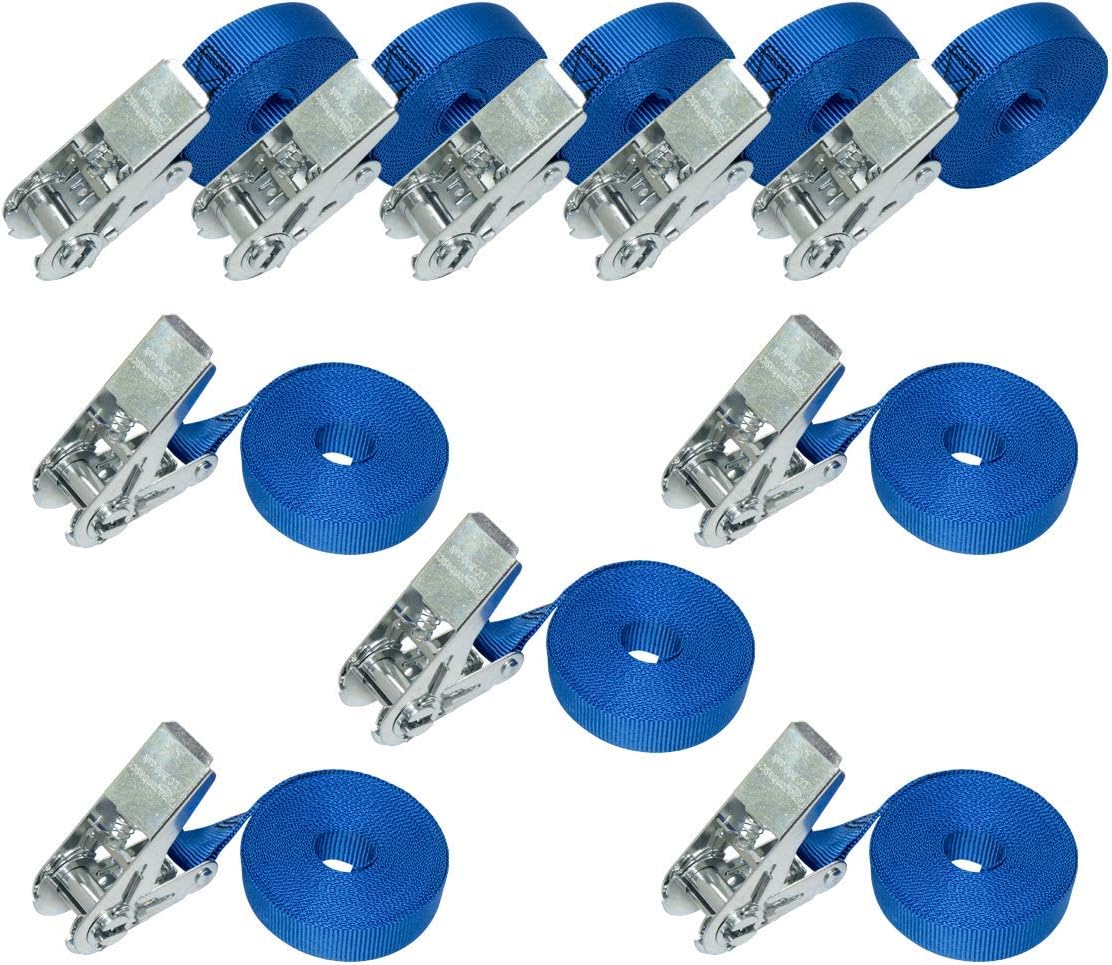 Amazon Basics 10-pack Ratchet Lashing Straps, 6 m Long, 25mm Wide, Load Capacity 800 kg, DIN EN 12195-2 certified, Blue