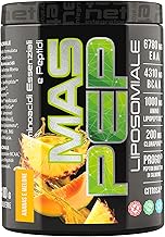 NET Mas Pep Liposomal Supplements 300 g Pineapple and Melon – High Absorption EAA and BCAA Supplement – Post Workout Supplement for Protein Synthesis Counteracts Fatigue Maximizes Muscle Growth