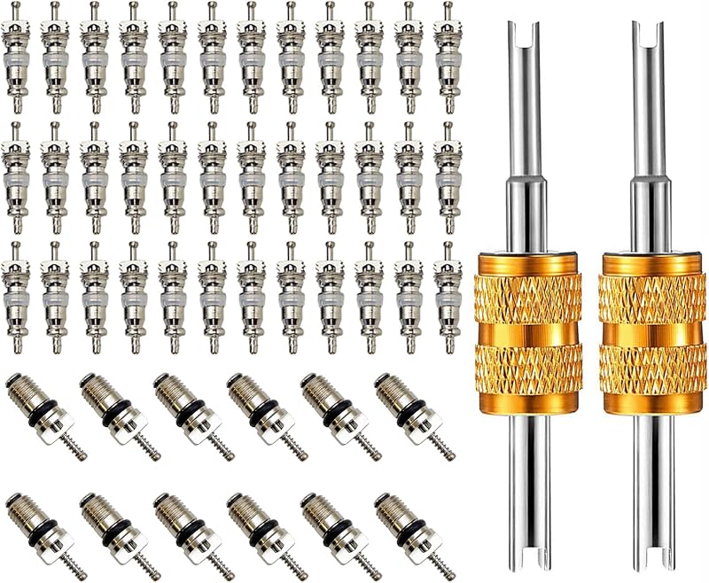 Kit de Núcleos de Válvula para Ar-Condicionado Automotivo VOTNMIC R12 R22 R134a com Ferramentas – 50 peças
