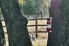 Review Image by The Fat Rancher