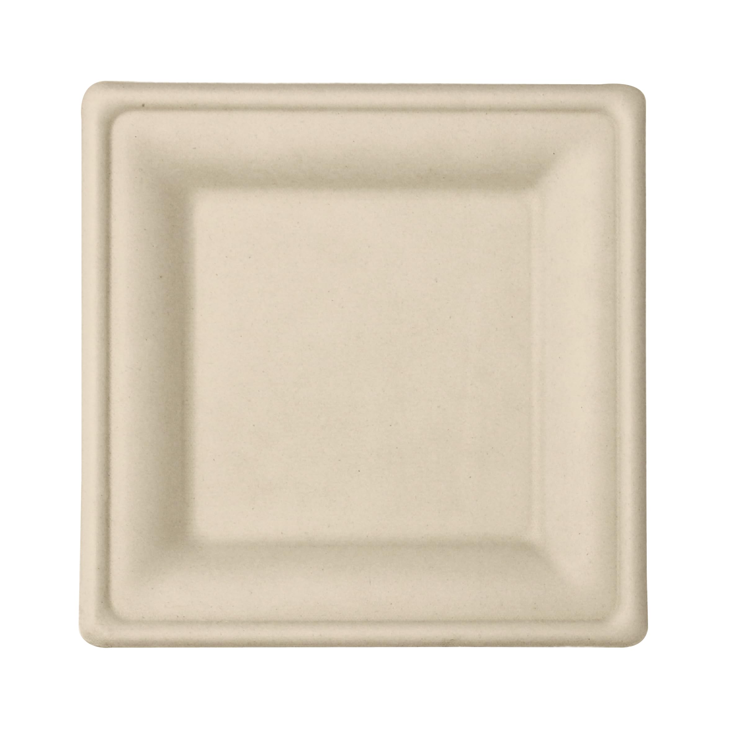 Responsible Products 10 Inch (250 count) / Natural Brown / Casual Plates