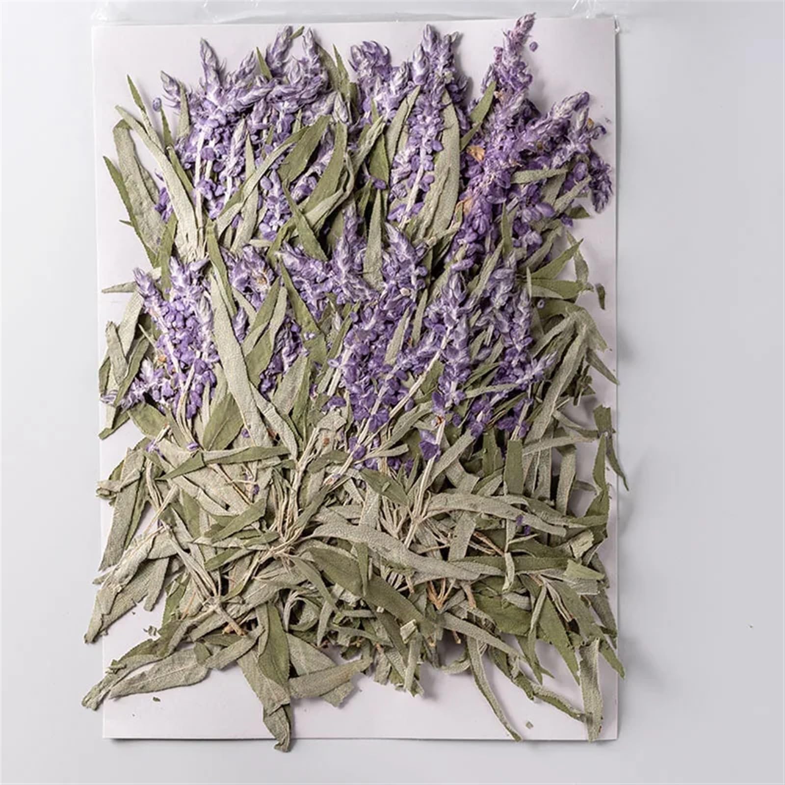 Fiori Secchi Pressati 60 Pezzi di Fiori secchi pressati, Lavanda Viola, erbario for segnalibro, Gioielli, Cartoline, inviti, custodie for Telefono Fai da Te