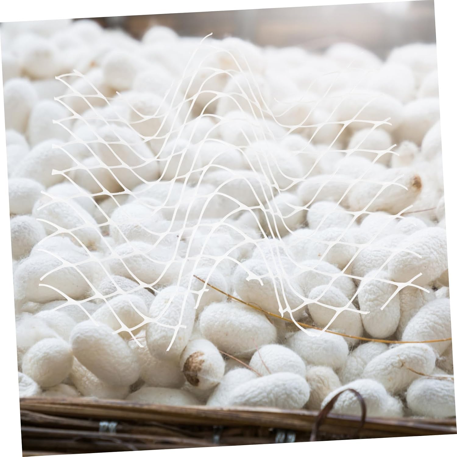 COLLBATH 6pcs Growing Insect Nets for Students Portable Sericulture Netting Simple and Easy to Use for Classroom or Home Use