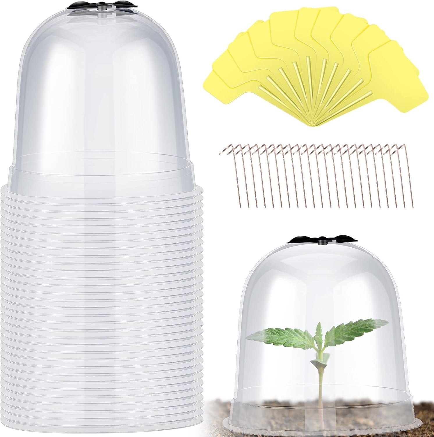 Remerry 20 Pack Garden Cloche Clear Bell Covers Freeze Protection Humidity Domes Plastic Dome 7.3 x 6.7 Inch with 60 Ground Securing Pegs and Plant Labels for Plants Seed Starting Greenhouse