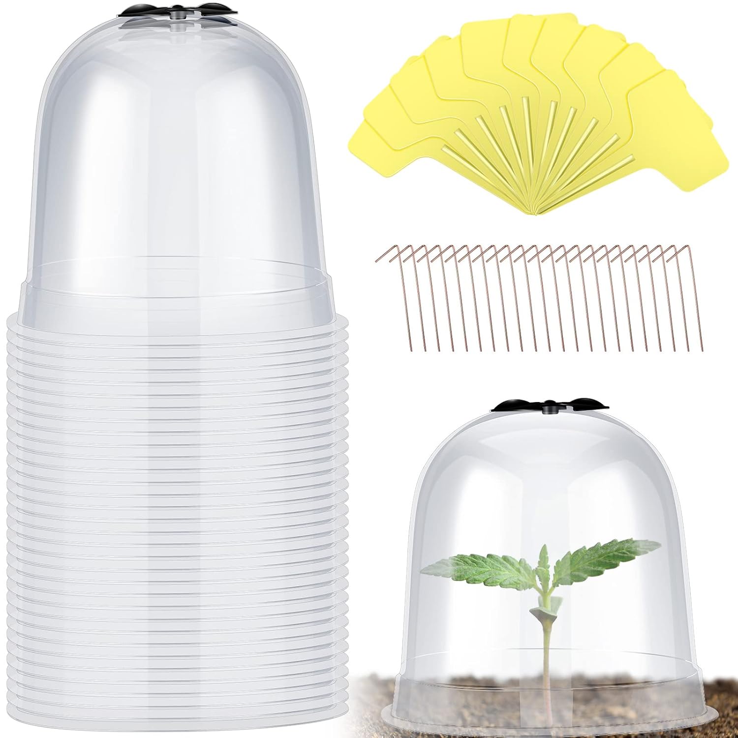 Remerry 20-Pack Garden Cloches: Clear PET Bell Covers with Vents, 60 Pegs & Labels for Frost Protection, Seed Starting
