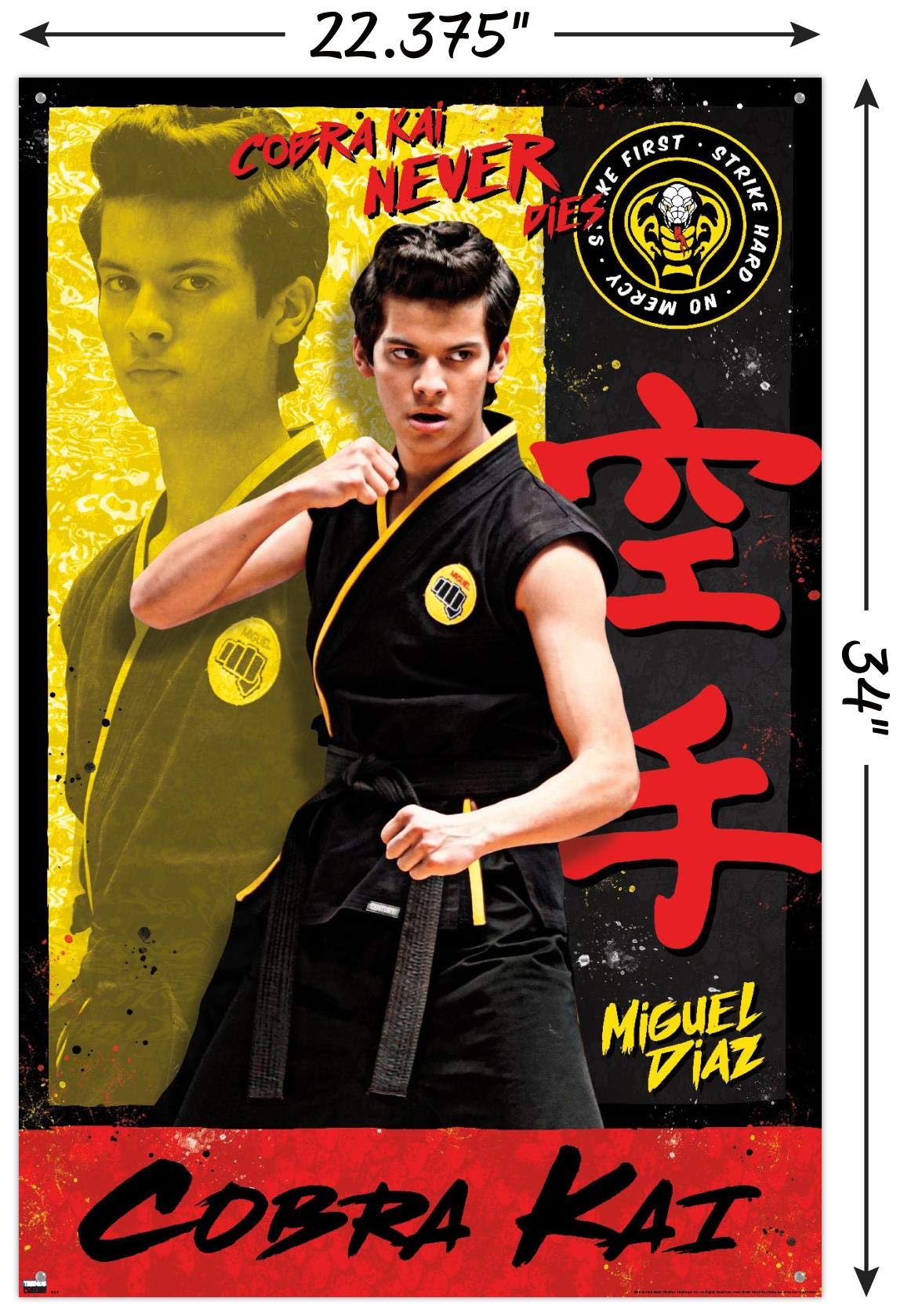 Cobra Kai - Miguel Wall Poster with Push Pins : Amazon.ca: Office