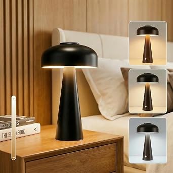 Touch Table Lamps for Nightstand,Cordless Lamp with 4000mAh Battery,3 Color Stepless Dimming LED Night Light for Home Office/Dining/Nightstand for Home Decor