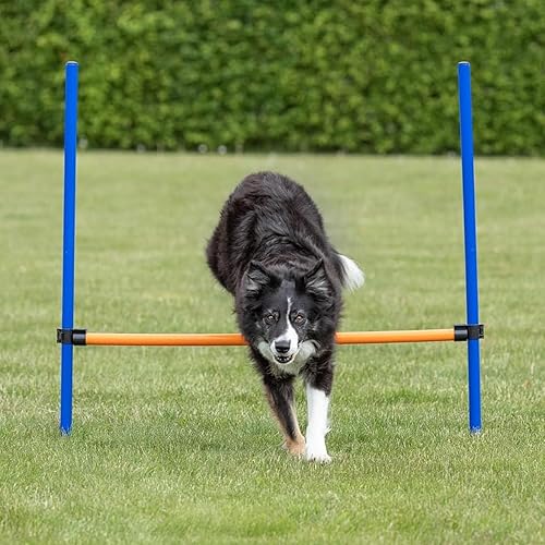 Miniatura 7 de Perro de agilidad obstáculo, entrenamiento de agilidad portátil para perros, puente ajustable, herramienta de ejercicio, azul/amarillo, 38.2 in x