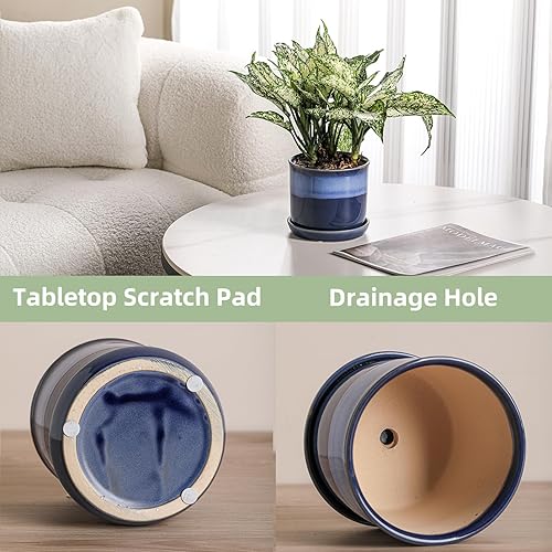Vista 53 de Maceta de cerámica de 8 pulgadas: maceta de cerámica con orificio de drenaje y platillo para plantas de interior y exterior, maceta con bandeja