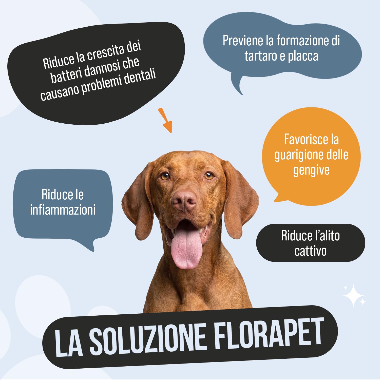 Pulizia Denti Cane in Polvere, Rimuovi Tartaro Denti, con Ascophyllum Nodosum e Pappa Reale, per Alito Cattivo e Igiene Orale, 150gr per Supporto alle Gengive e Alito Fresco