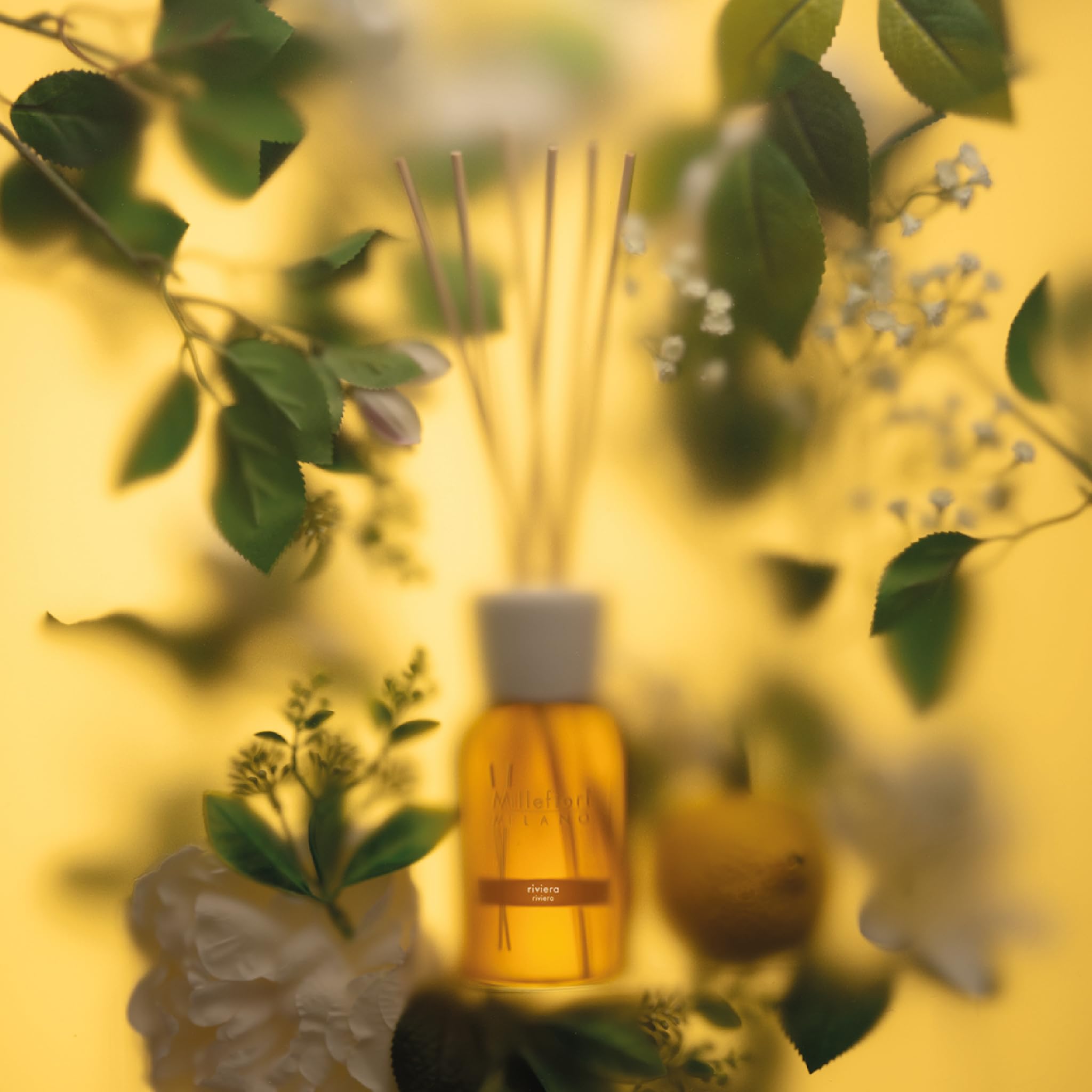 Millefiori Milano – Diffusore a Bastoncini 250 ml, Riviera – Profumatore Ambiente Raffinato con Note Fresche e Agrumate