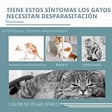 Ver la foto 7