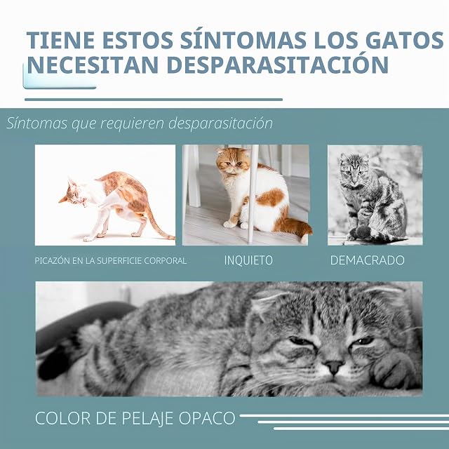 Foto 7 de 7 de Collares para Gatos 2 en 1 - 2 Collares Antipulgas y Garrapatas + 1 Calmante con Aceites Naturales, Ajustable…