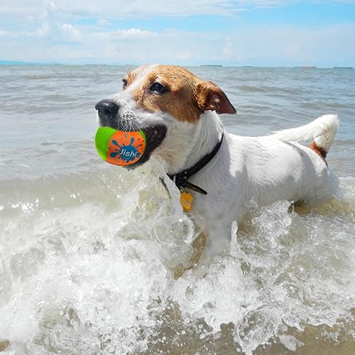 Miniatura 6 de Jishi Skip Water Balls Beach Pool Toys for Kids 8-12 Boys Outdoor Summer Water Fun - Pelota que rebota agua, regalo de juegos de piscina